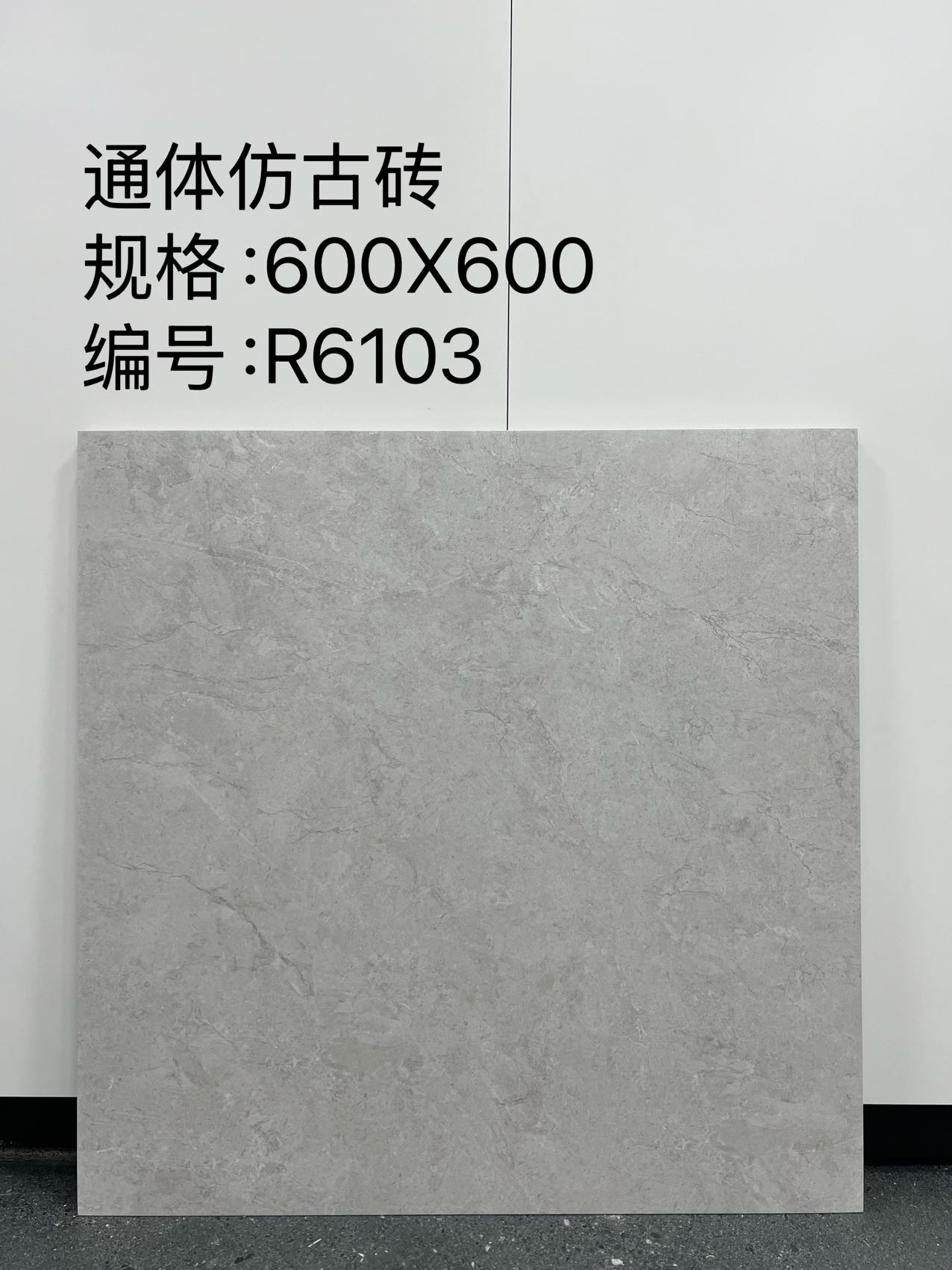 Matte Porcelain Tile — Grey - Image 3