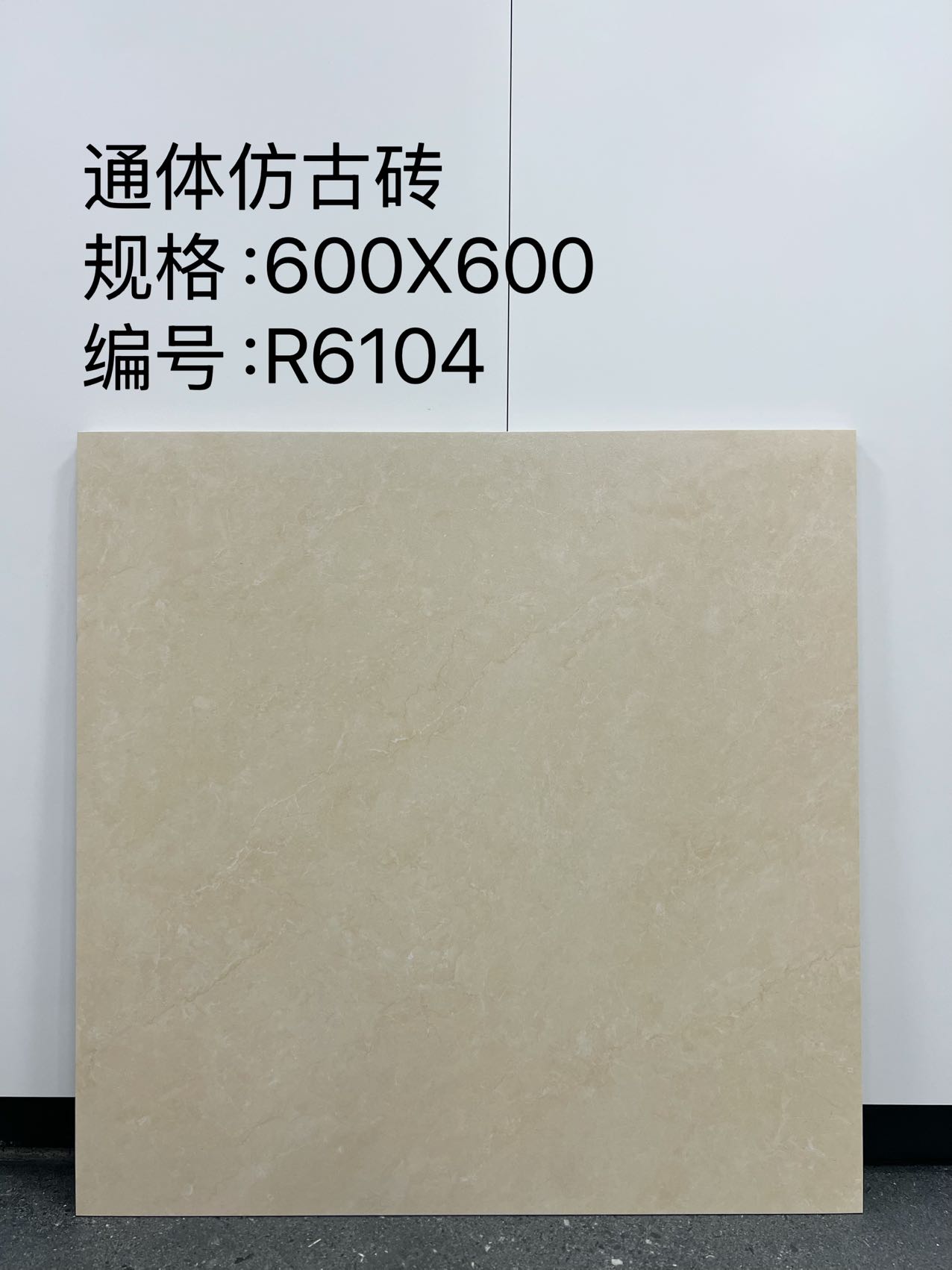 Matte Porcelain Tile — Grey - Image 4