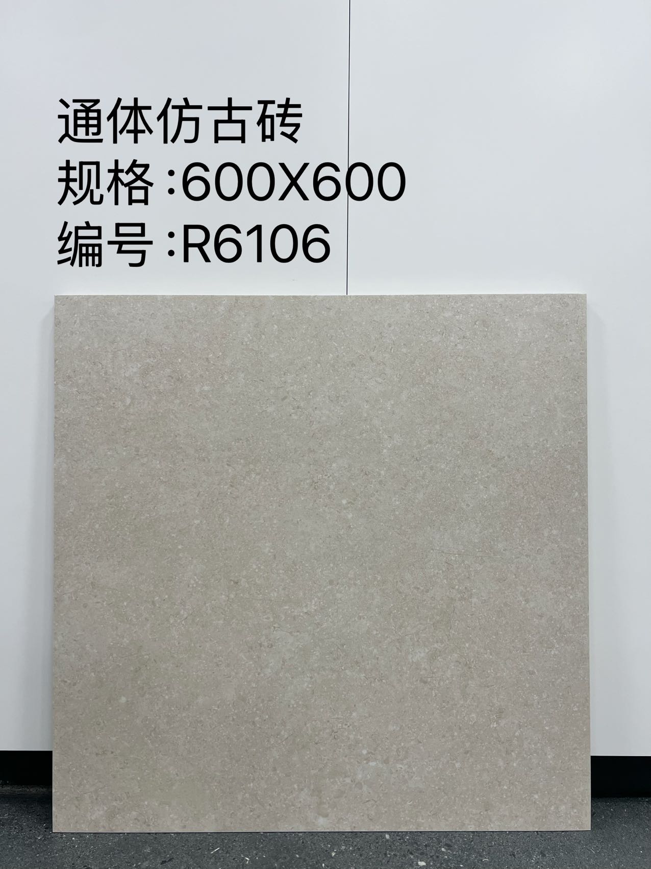 Matte Porcelain Tile — Beige