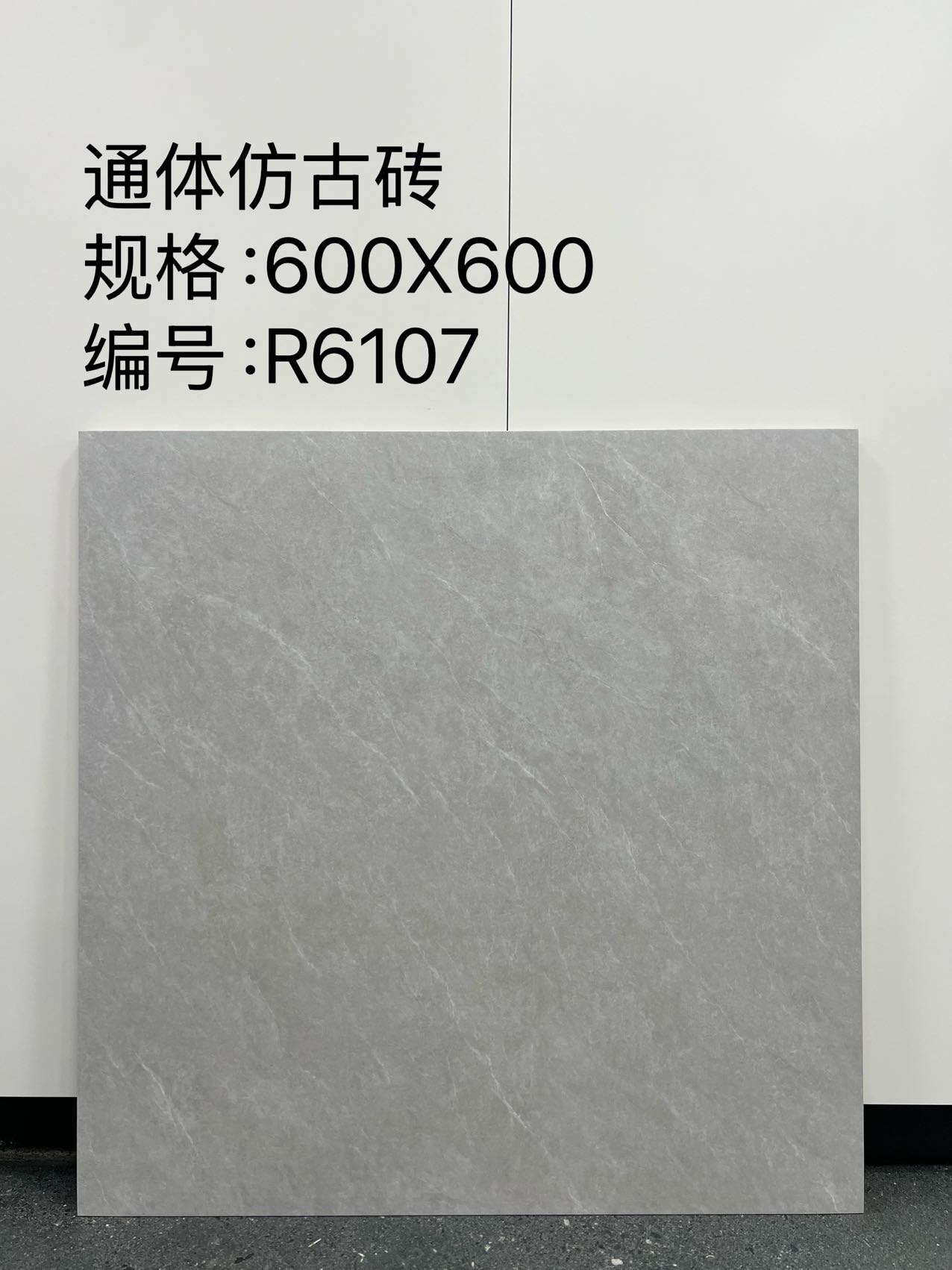 Matte Porcelain Tile — Beige - Image 2