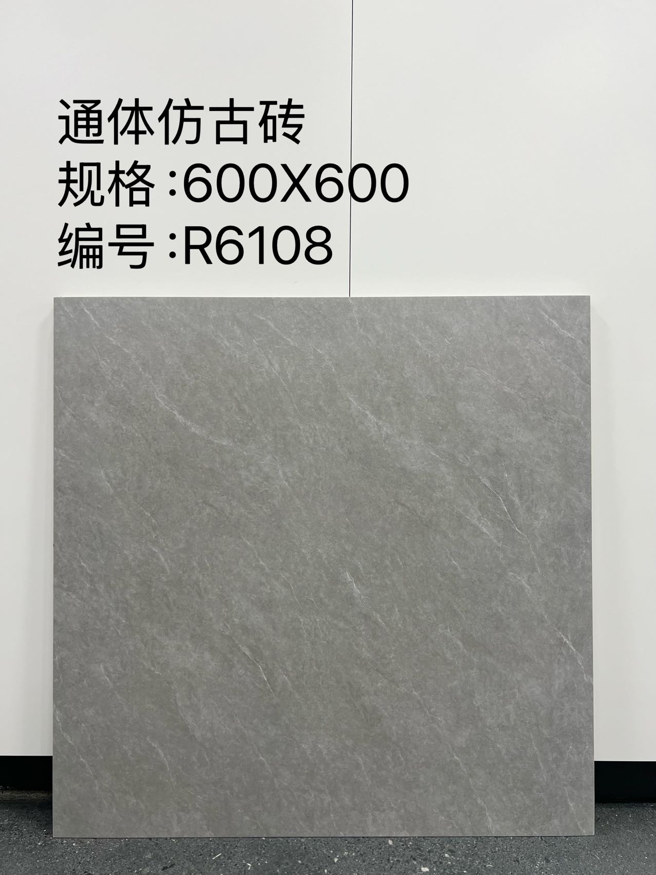 Matte Porcelain Tile — Beige - Image 3