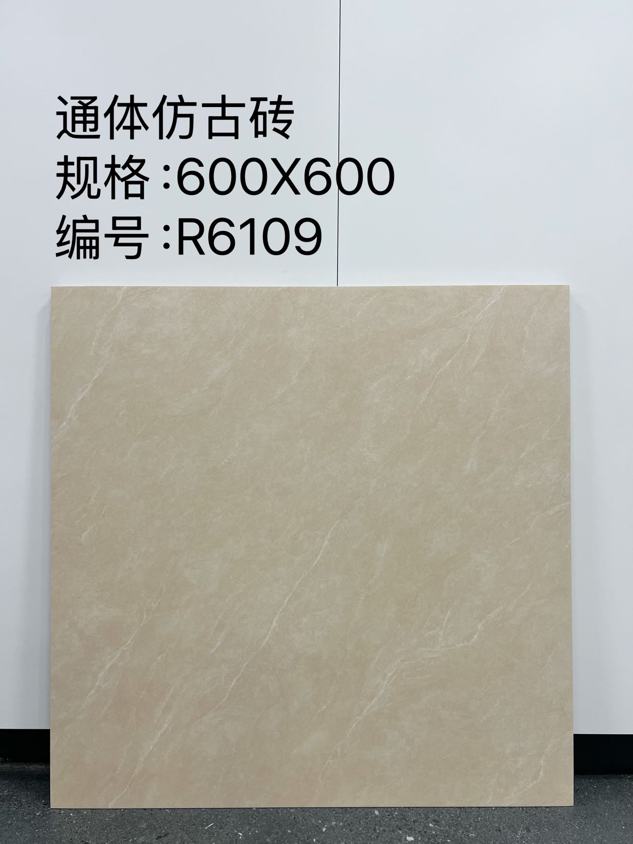 Matte Porcelain Tile — Beige - Image 4