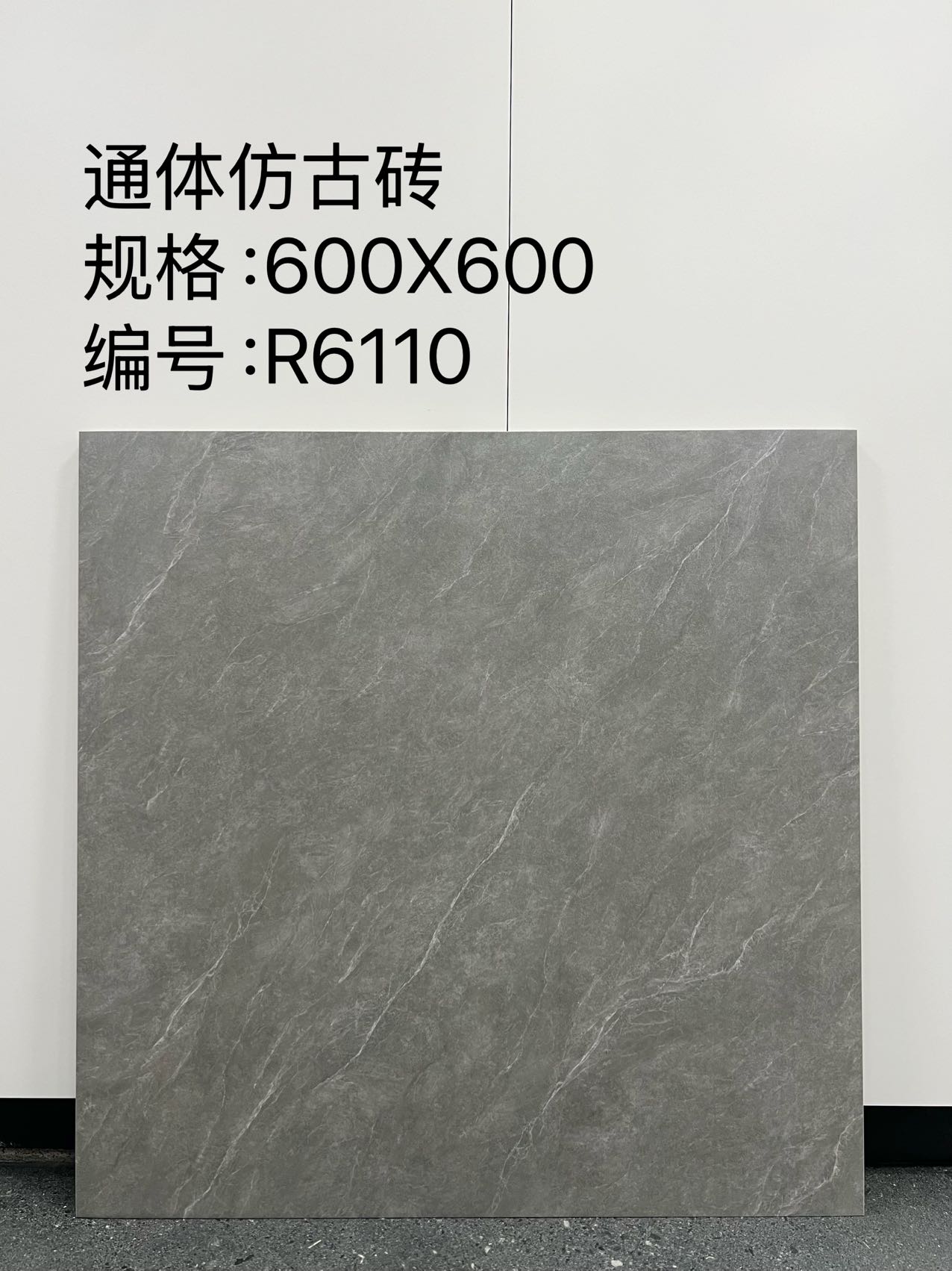 Matte Porcelain Tile — Beige - Image 5