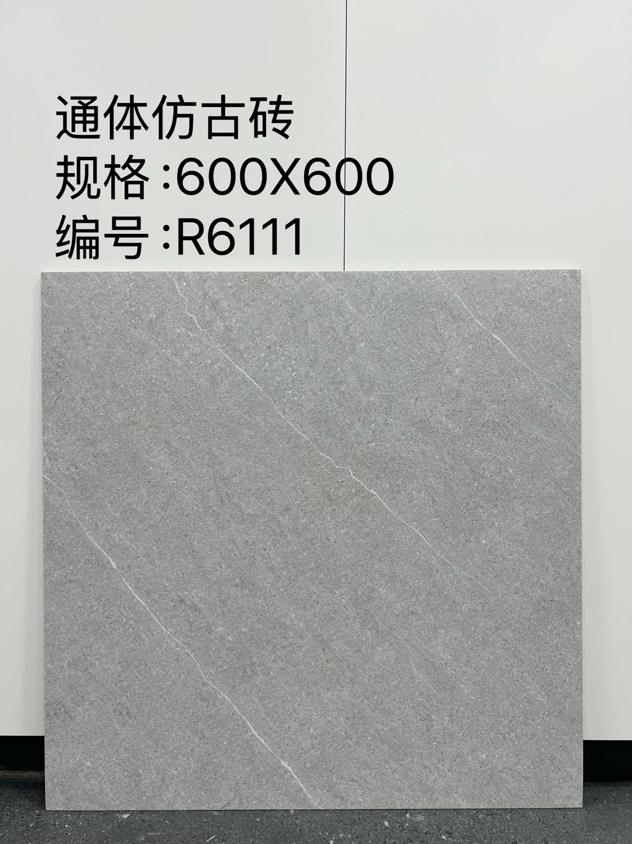 Matte Porcelain Tile — White