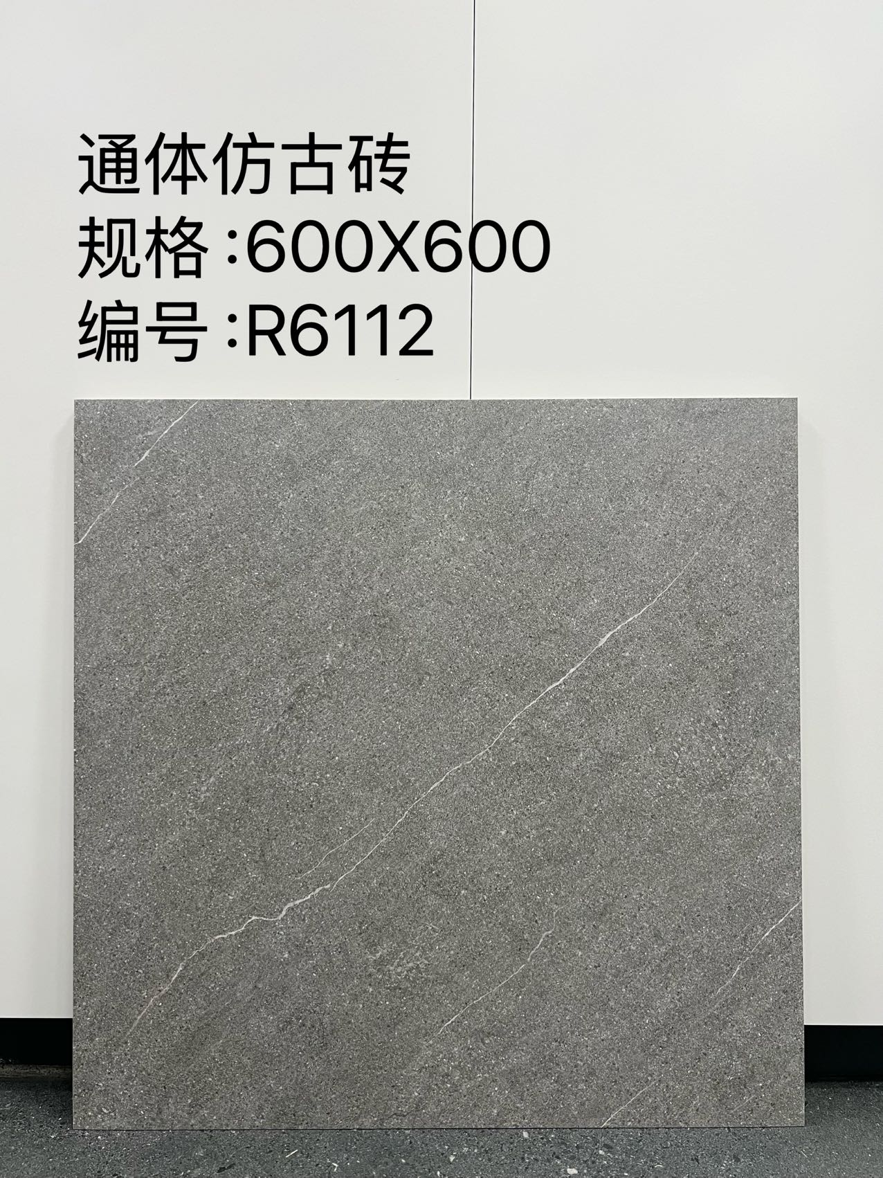 Matte Porcelain Tile — White - Image 2