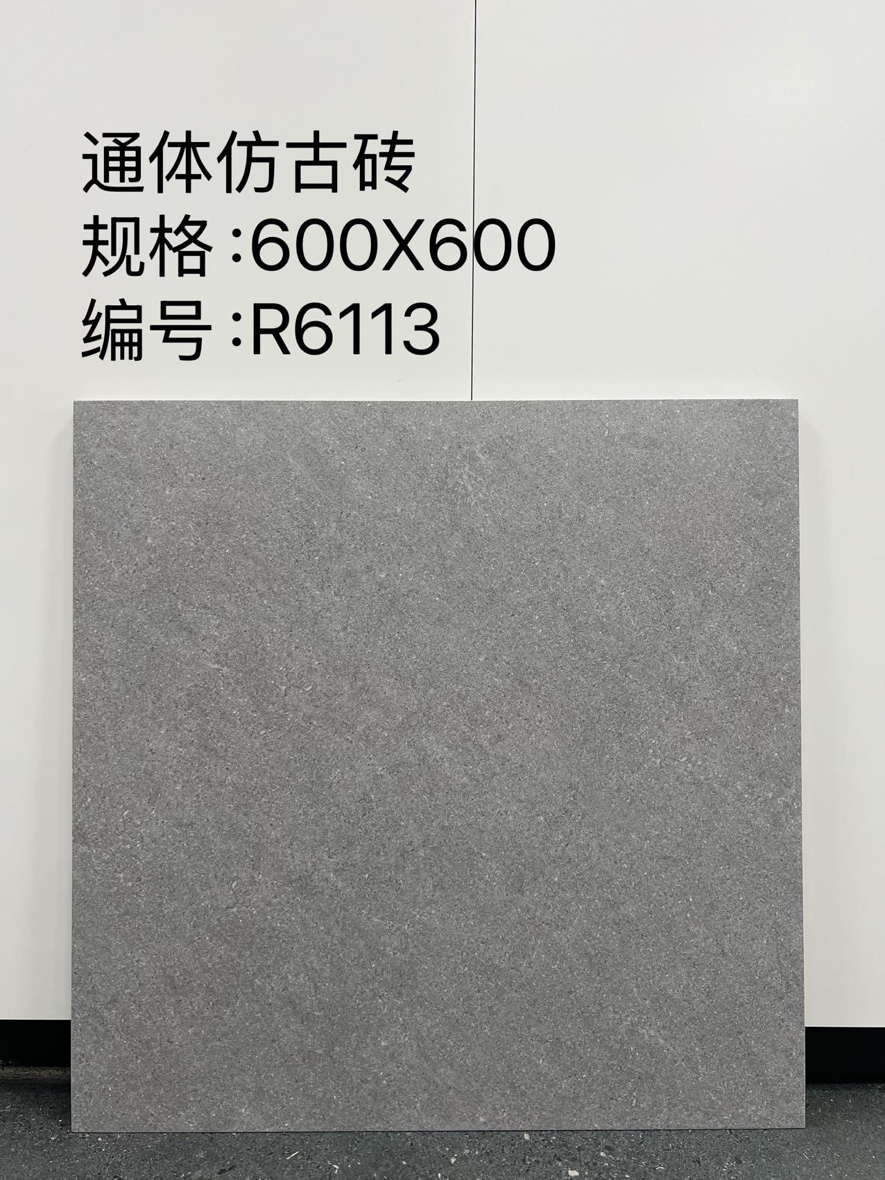 Matte Porcelain Tile — White - Image 3
