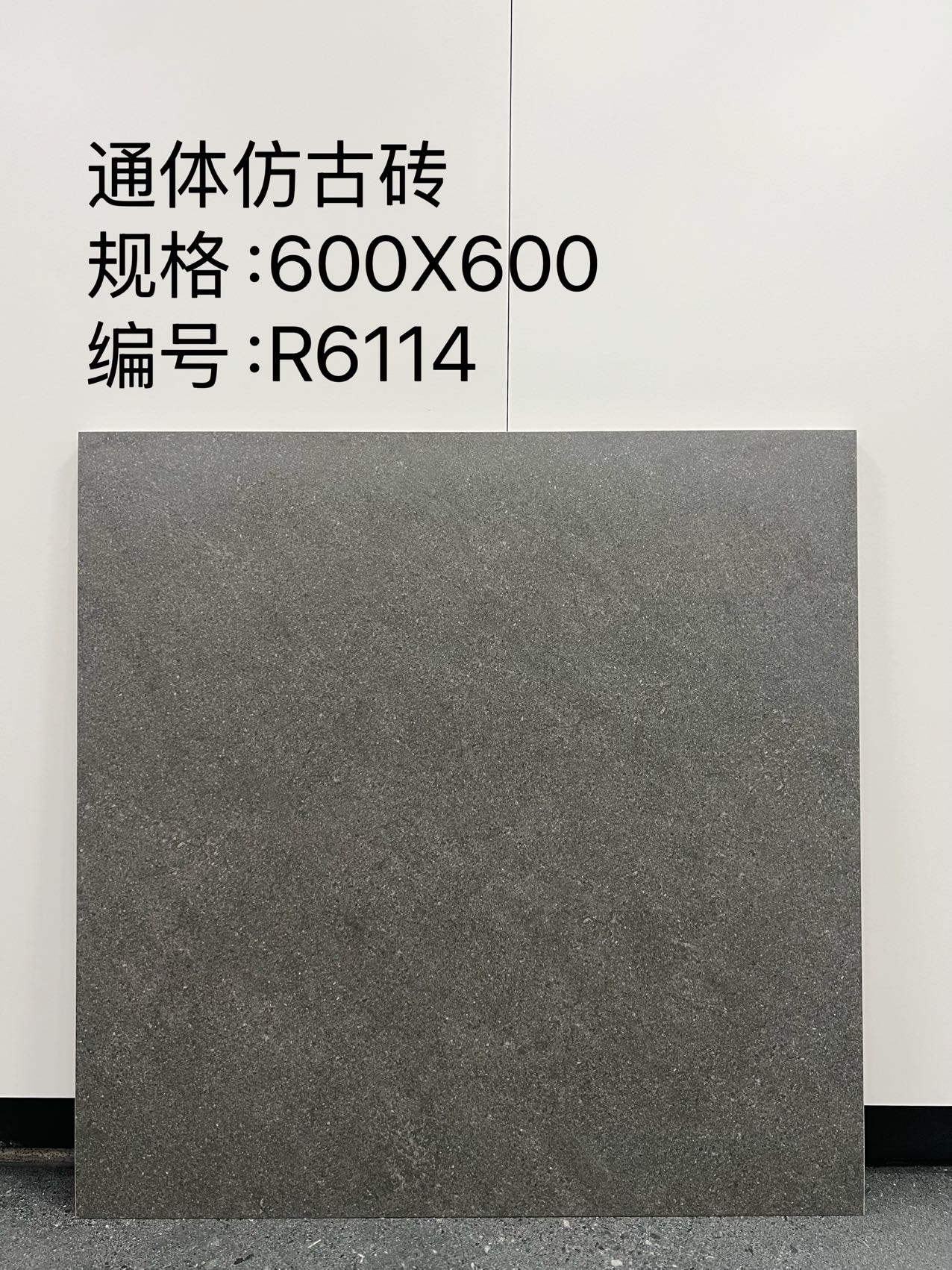 Matte Porcelain Tile — White - Image 4