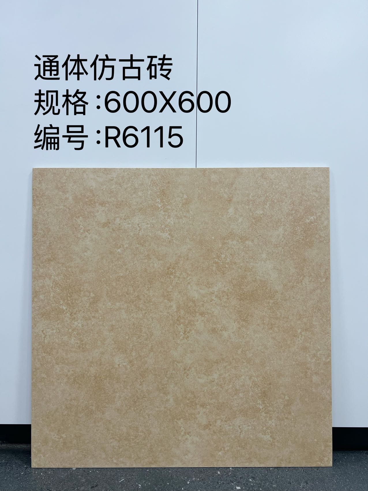 Matte Porcelain Tile — Cream