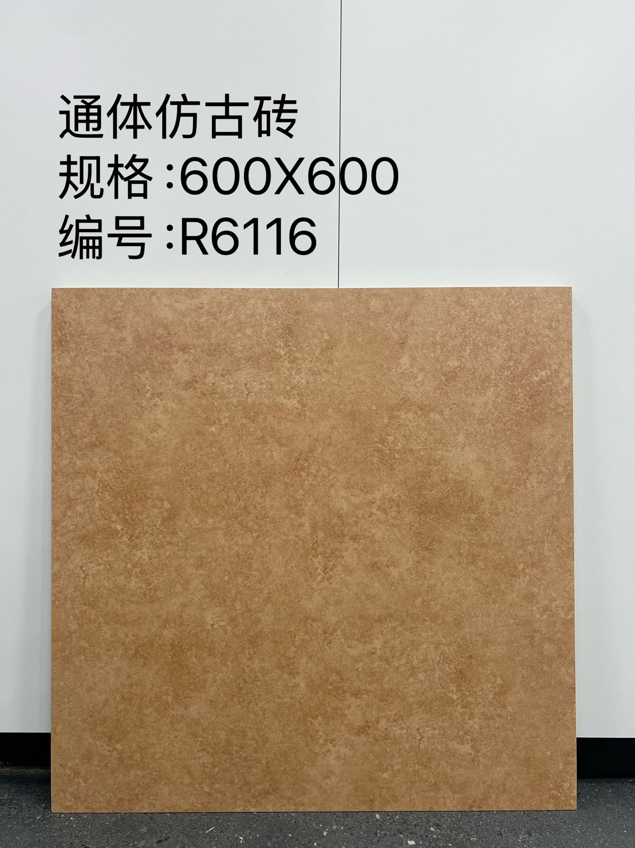Matte Porcelain Tile — Cream - Image 2